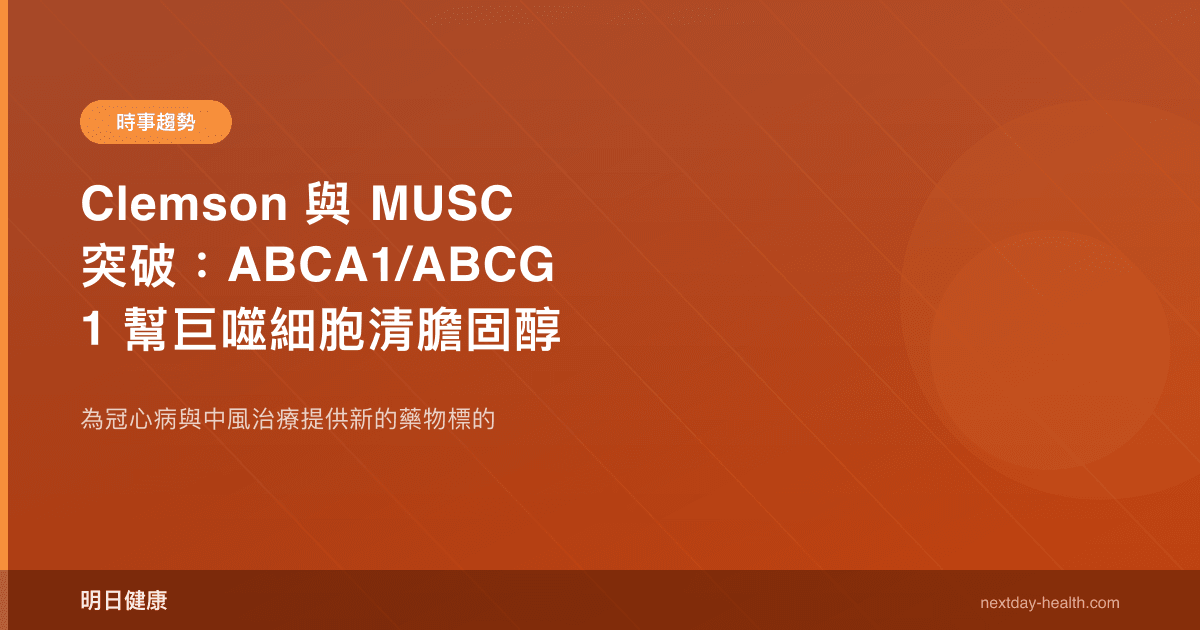 Clemson 與 MUSC 突破：ABCA1/ABCG1 幫巨噬細胞清膽固醇