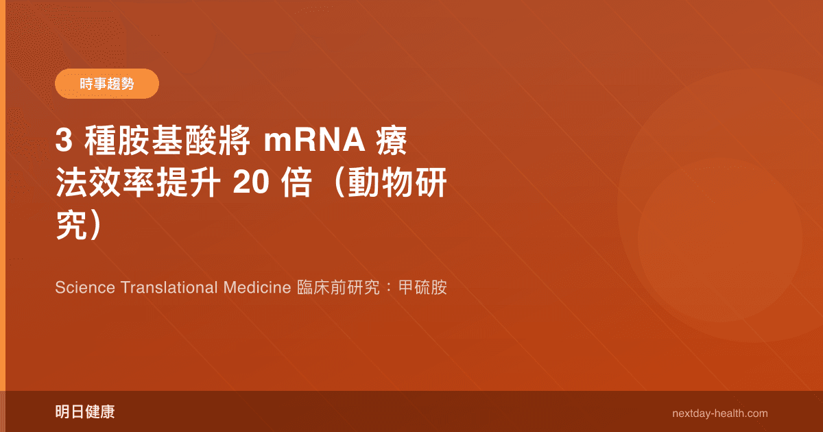 3 種胺基酸將 mRNA 療法效率提升 20 倍（動物研究）