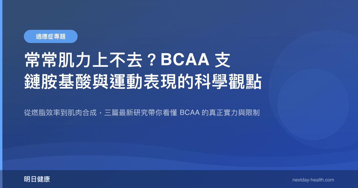 常常肌力上不去？BCAA 支鏈胺基酸與運動表現的科學觀點