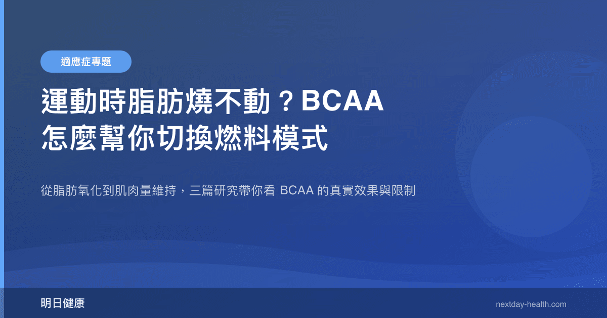 運動時脂肪燒不動？BCAA 怎麼幫你切換燃料模式