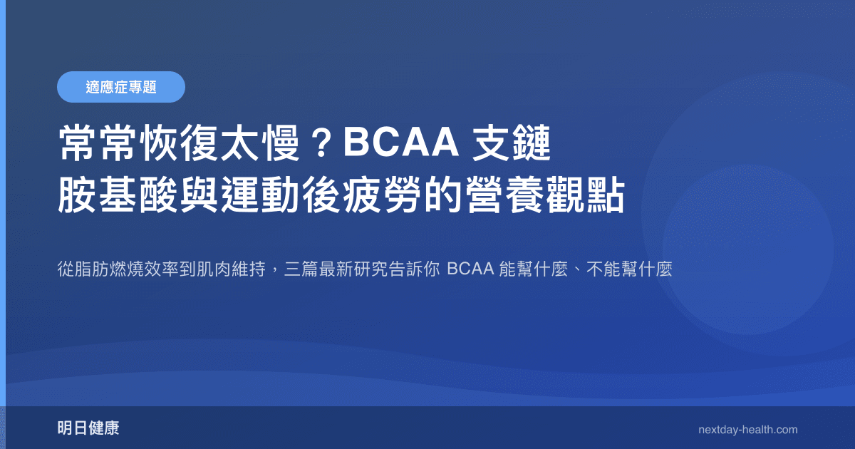 常常恢復太慢？BCAA 支鏈胺基酸與運動後疲勞的營養觀點