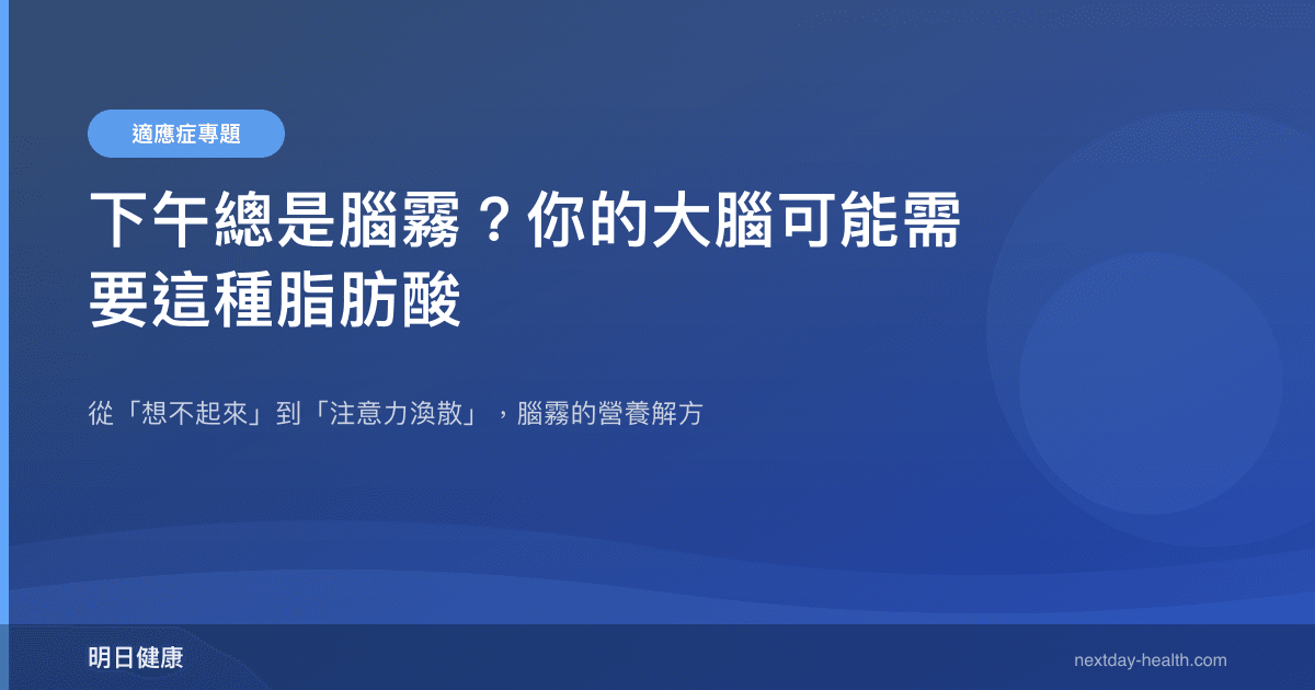 下午總是腦霧？你的大腦可能需要這種脂肪酸