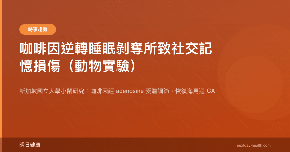 咖啡因逆轉睡眠剝奪所致社交記憶損傷（動物實驗）