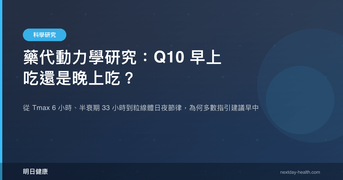 藥代動力學研究：Q10 早上吃還是晚上吃？