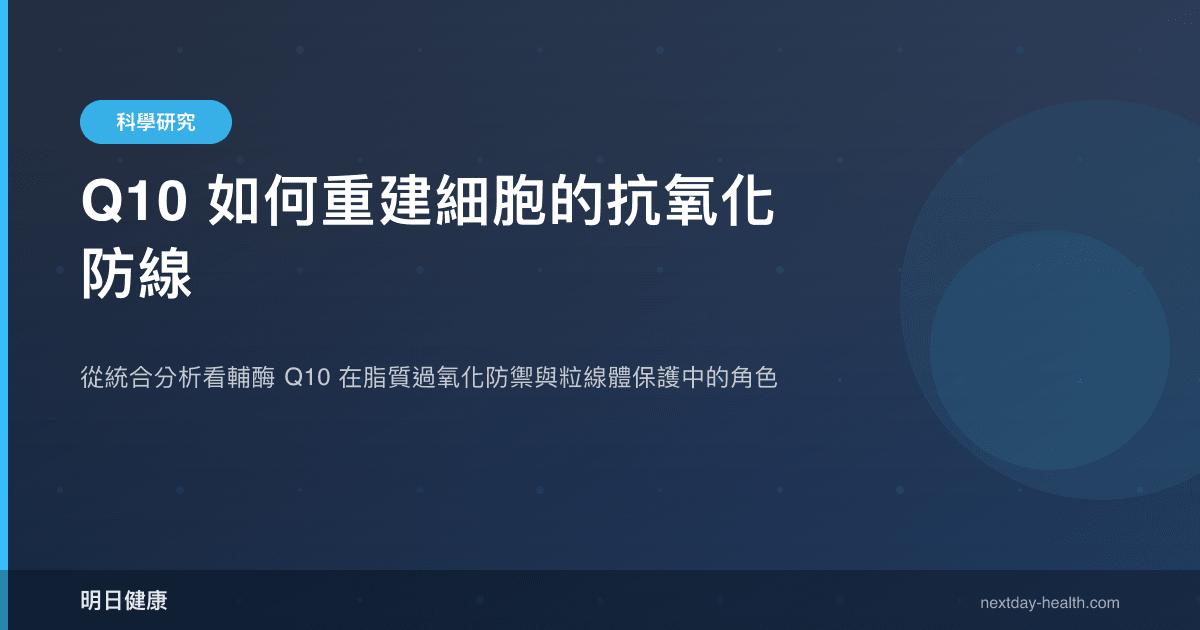 Q10 如何重建細胞的抗氧化防線