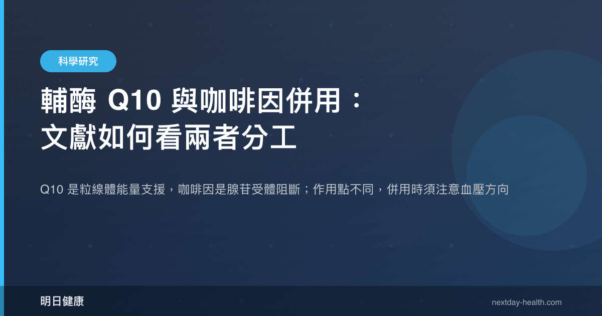 輔酶 Q10 與咖啡因併用：文獻如何看兩者分工