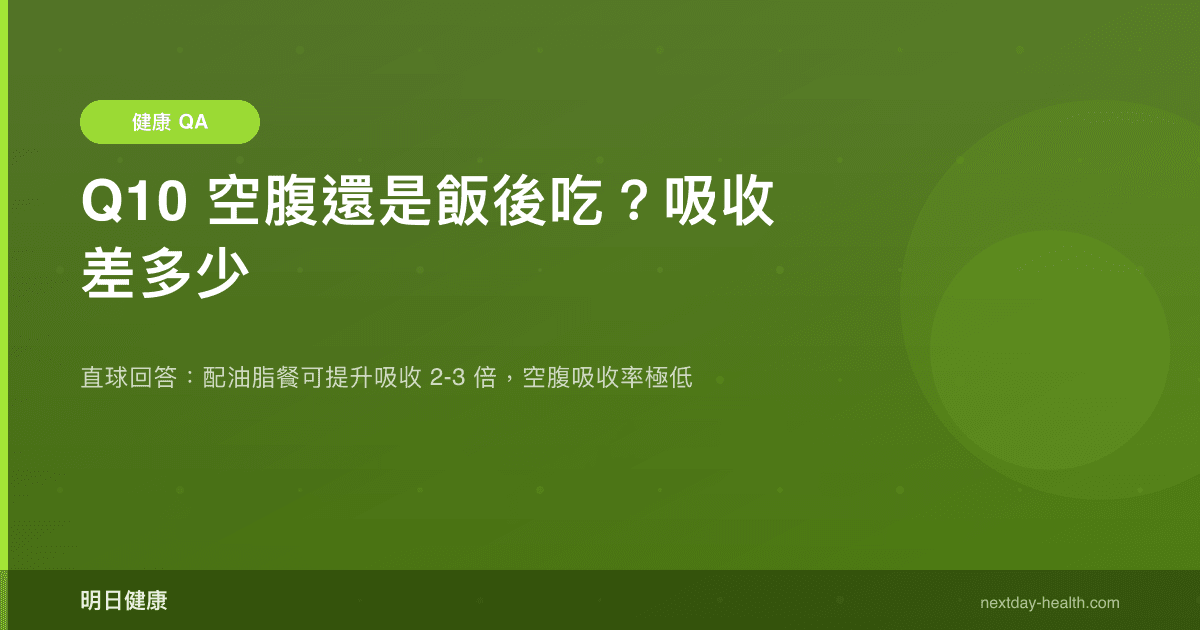 Q10 空腹還是飯後吃？吸收差多少