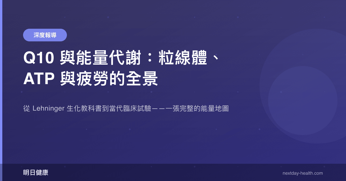 Q10 與能量代謝：粒線體、ATP 與疲勞的全景