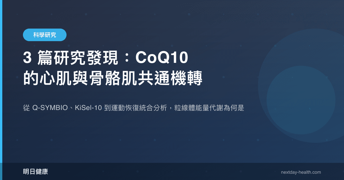 3 篇研究發現：CoQ10 的心肌與骨骼肌共通機轉