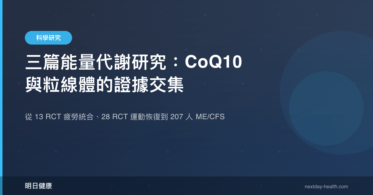 三篇能量代謝研究：CoQ10 與粒線體的證據交集