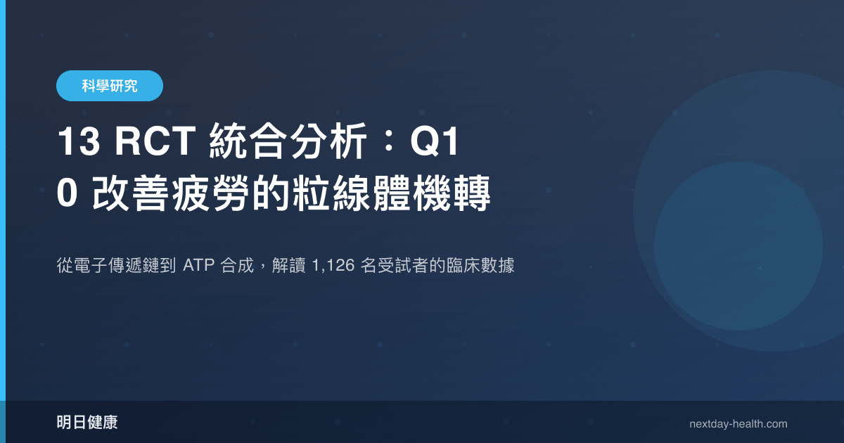 13 RCT 統合分析：Q10 改善疲勞的粒線體機轉