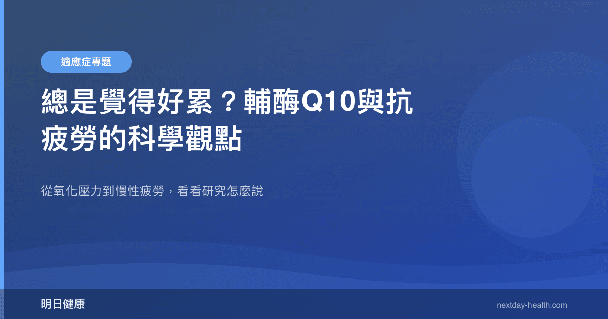 總是覺得好累？輔酶Q10與抗疲勞的科學觀點
