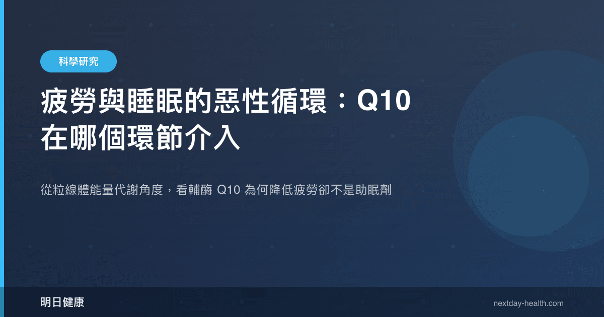 疲勞與睡眠的惡性循環：Q10 在哪個環節介入