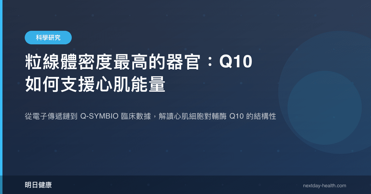 粒線體密度最高的器官：Q10 如何支援心肌能量