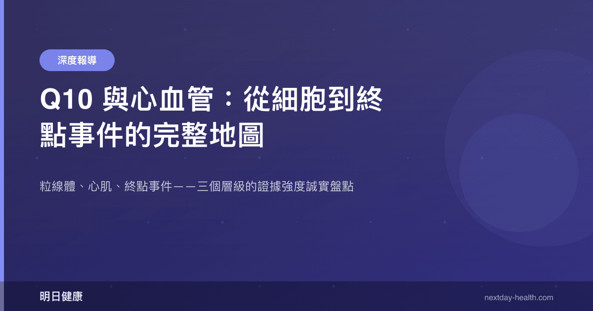 Q10 與心血管：從細胞到終點事件的完整地圖