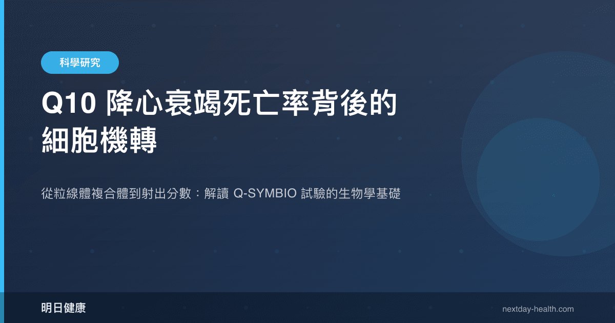Q10 降心衰竭死亡率背後的細胞機轉