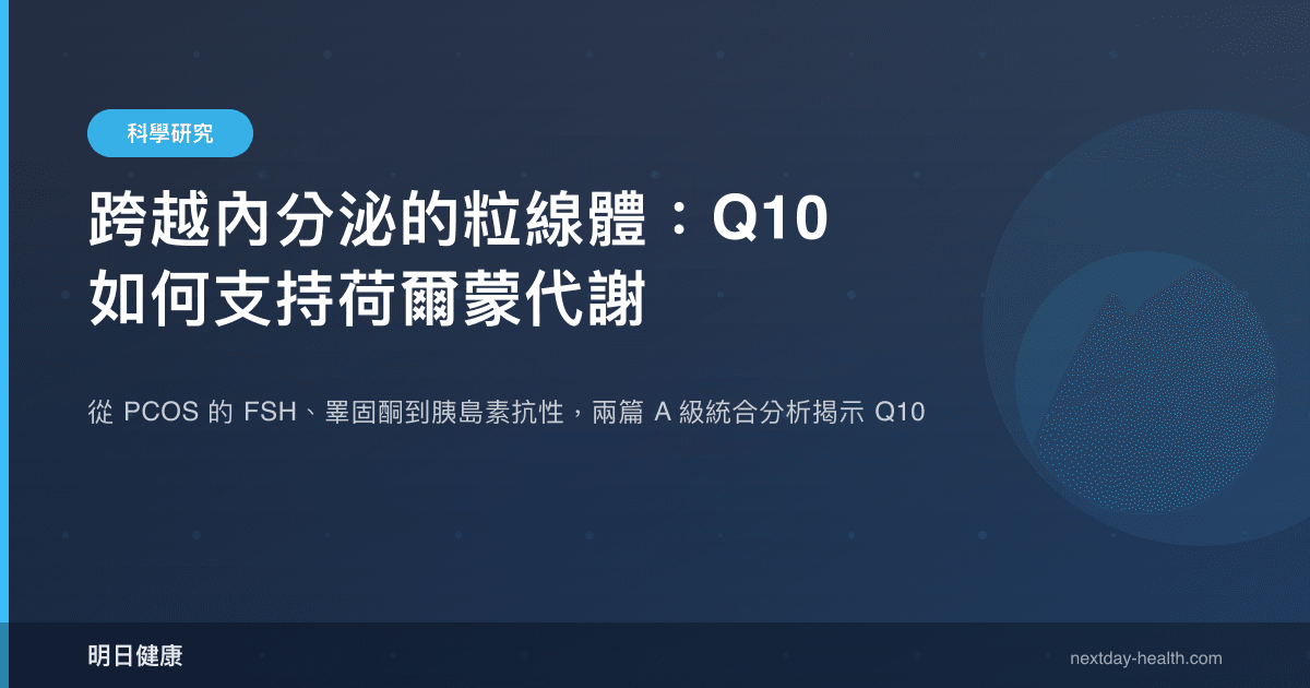 跨越內分泌的粒線體：Q10 如何支持荷爾蒙代謝