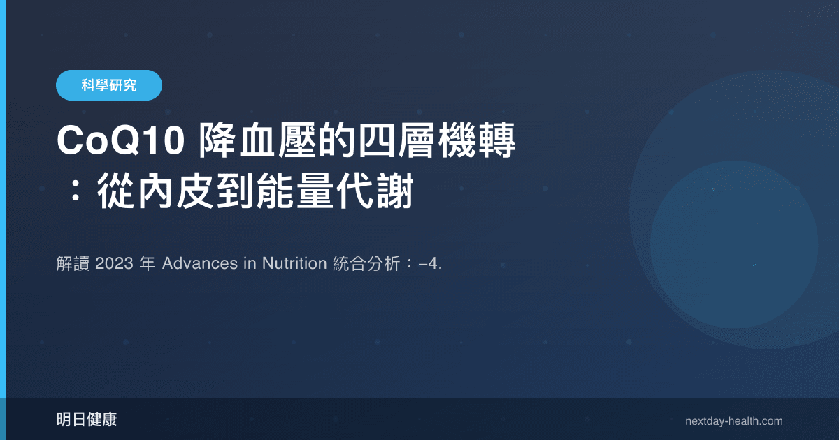 CoQ10 降血壓的四層機轉：從內皮到能量代謝