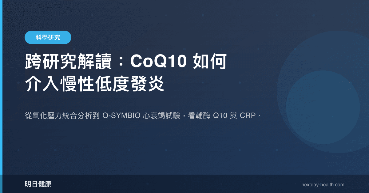 跨研究解讀：CoQ10 如何介入慢性低度發炎