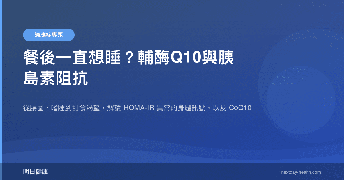 餐後一直想睡？輔酶Q10與胰島素阻抗