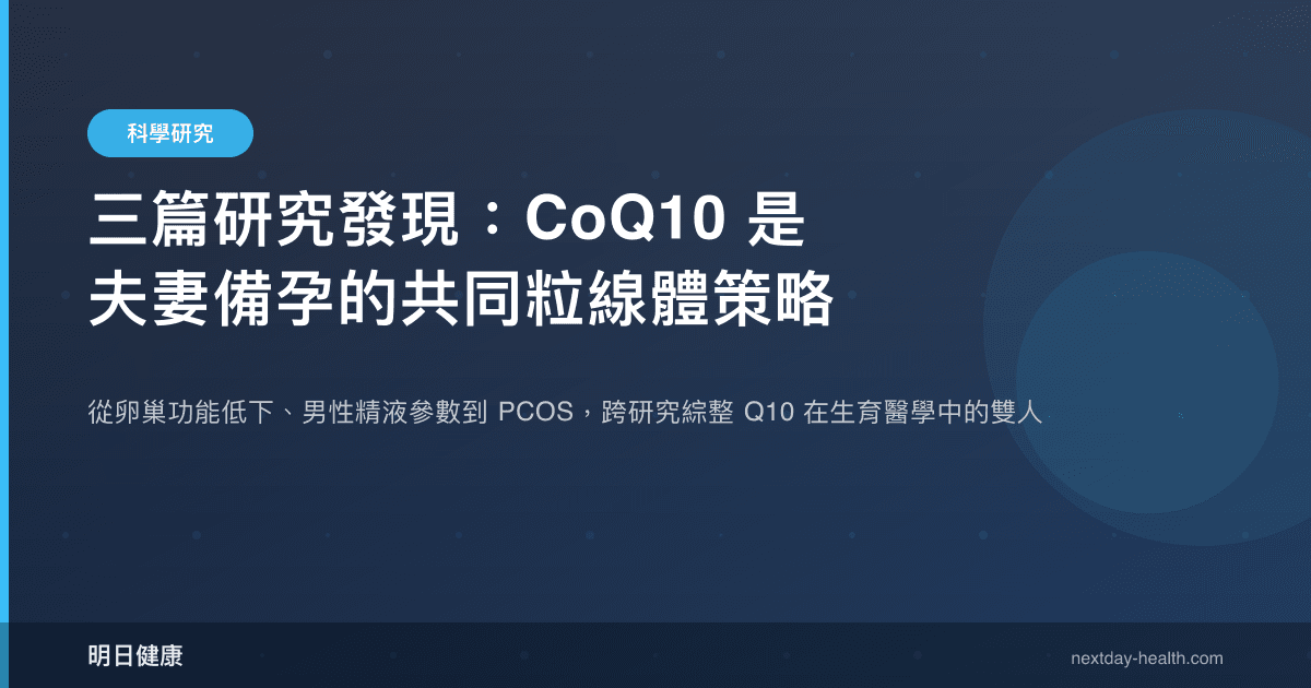 三篇研究發現：CoQ10 是夫妻備孕的共同粒線體策略