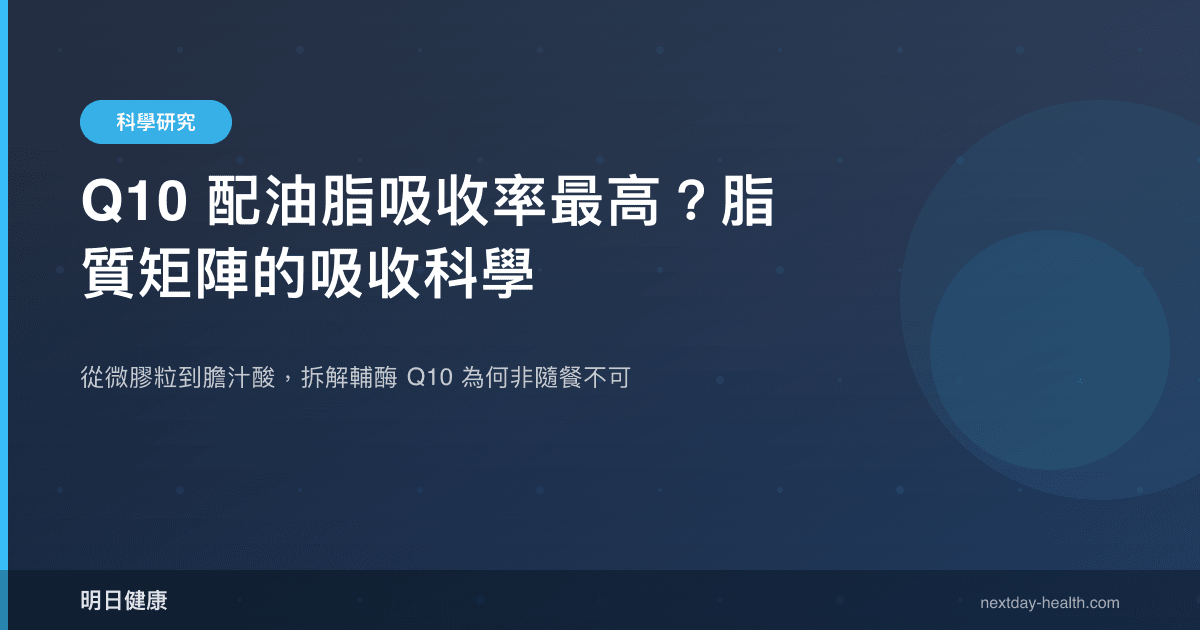 Q10 配油脂吸收率最高？脂質矩陣的吸收科學
