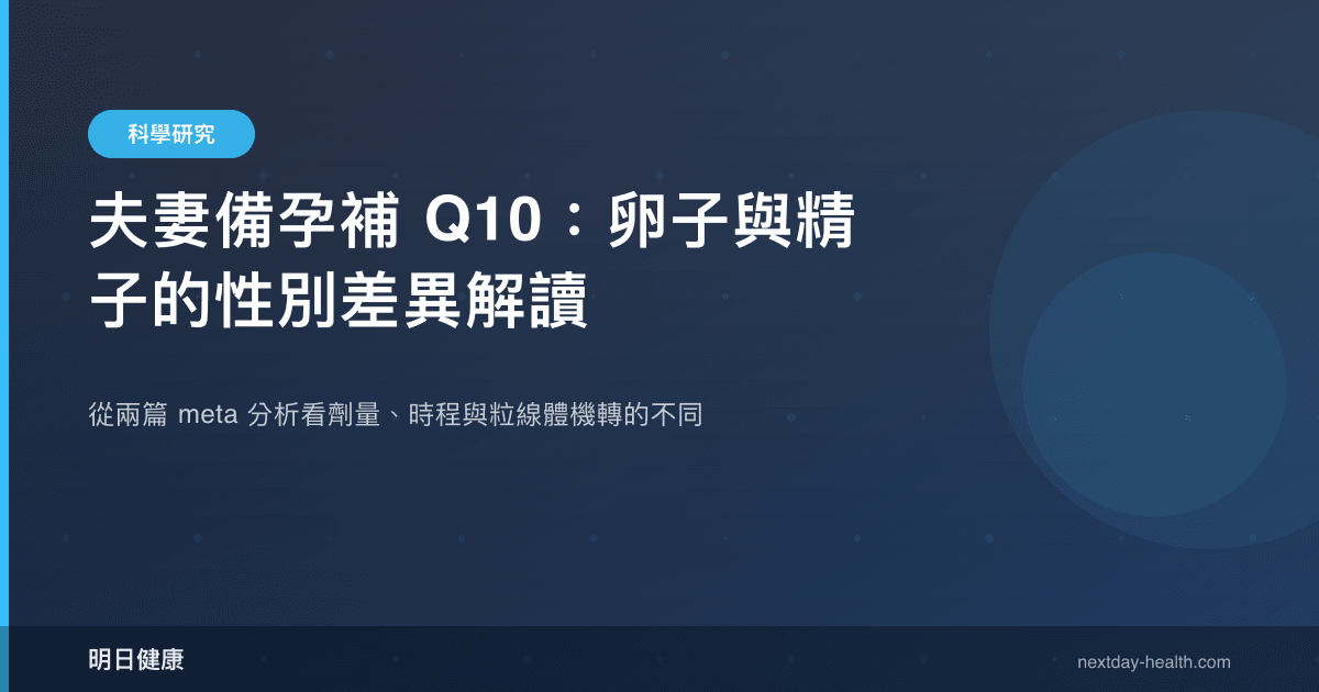 夫妻備孕補 Q10：卵子與精子的性別差異解讀