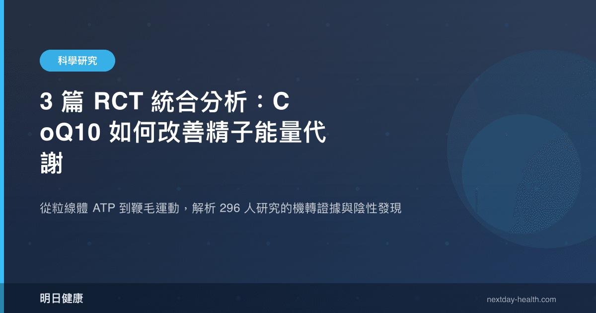 3 篇 RCT 統合分析：CoQ10 如何改善精子能量代謝