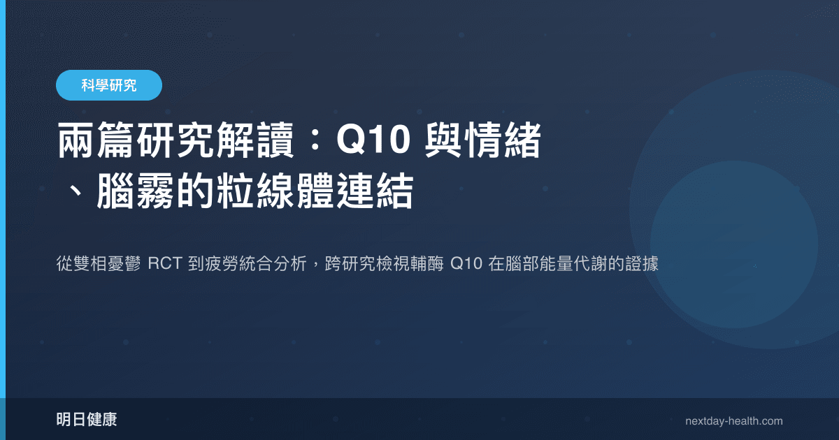 兩篇研究解讀：Q10 與情緒、腦霧的粒線體連結