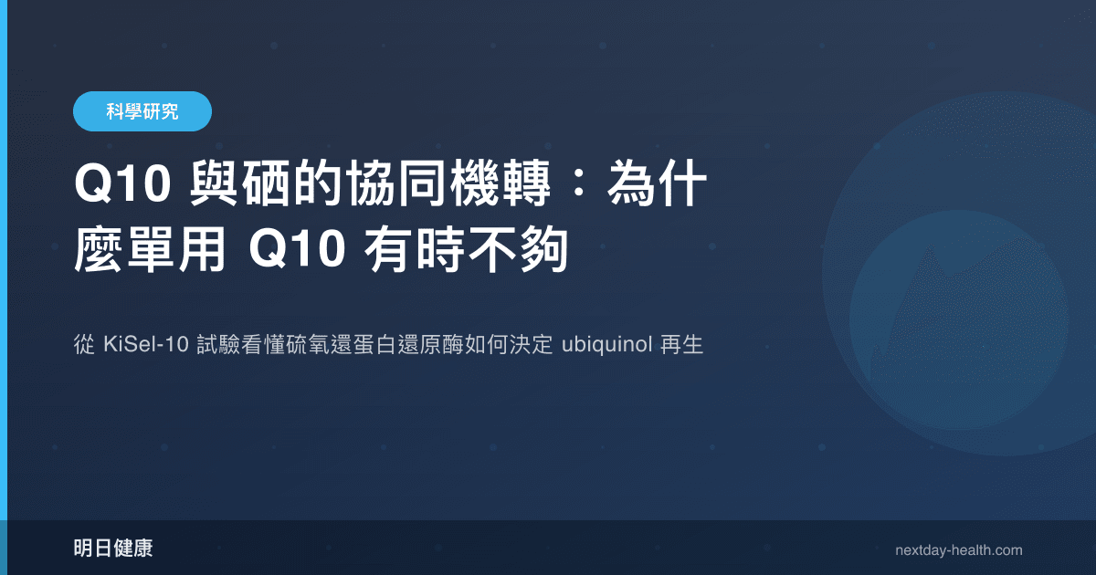 Q10 與硒的協同機轉：為什麼單用 Q10 有時不夠
