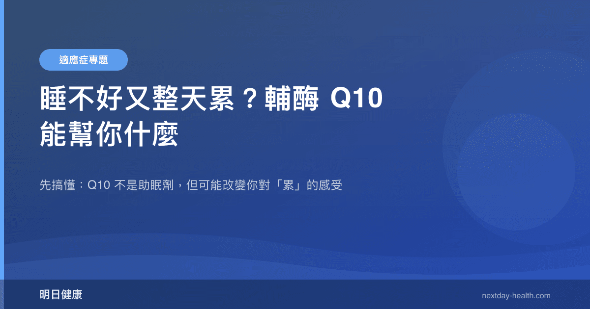 睡不好又整天累？輔酶 Q10 能幫你什麼