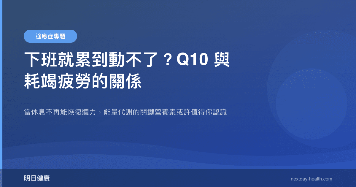 下班就累到動不了？Q10 與耗竭疲勞的關係