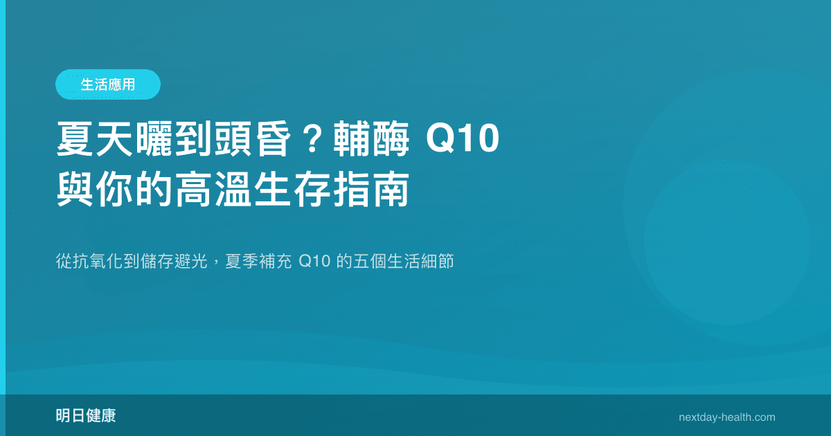 夏天曬到頭昏？輔酶 Q10 與你的高溫生存指南