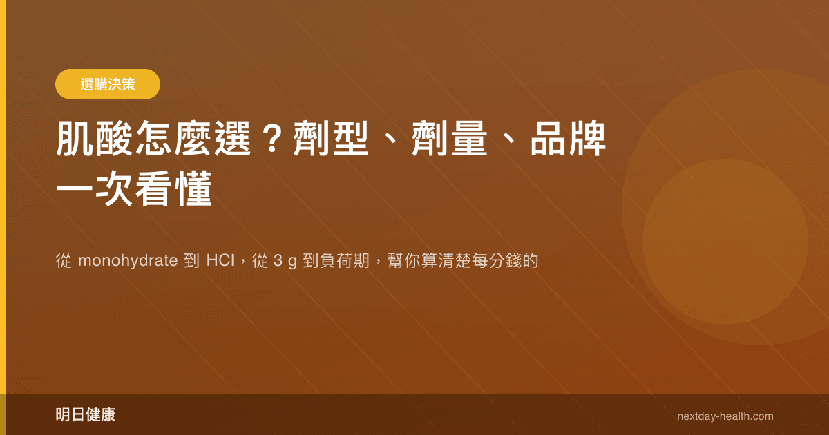 肌酸怎麼選？劑型、劑量、品牌一次看懂