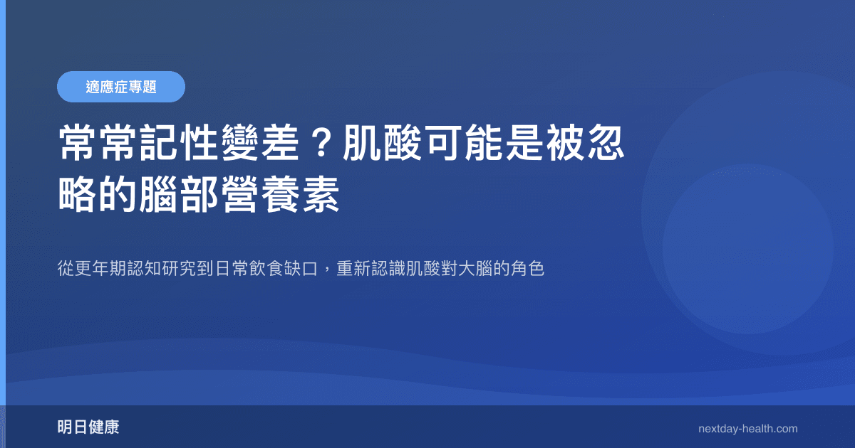 常常記性變差？肌酸可能是被忽略的腦部營養素