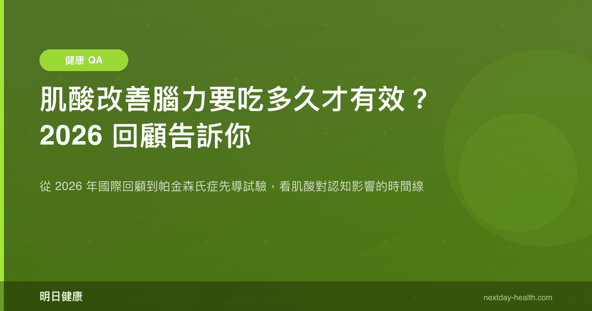 肌酸改善腦力要吃多久才有效？2026 回顧告訴你