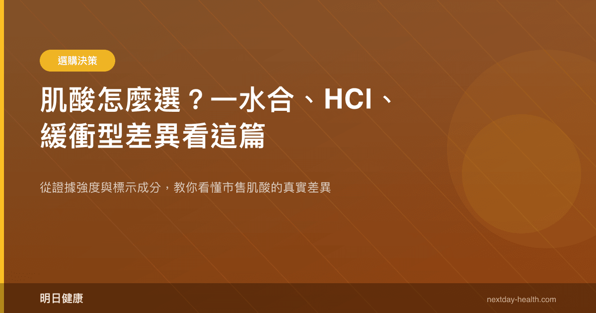 肌酸怎麼選？一水合、HCl、緩衝型差異看這篇