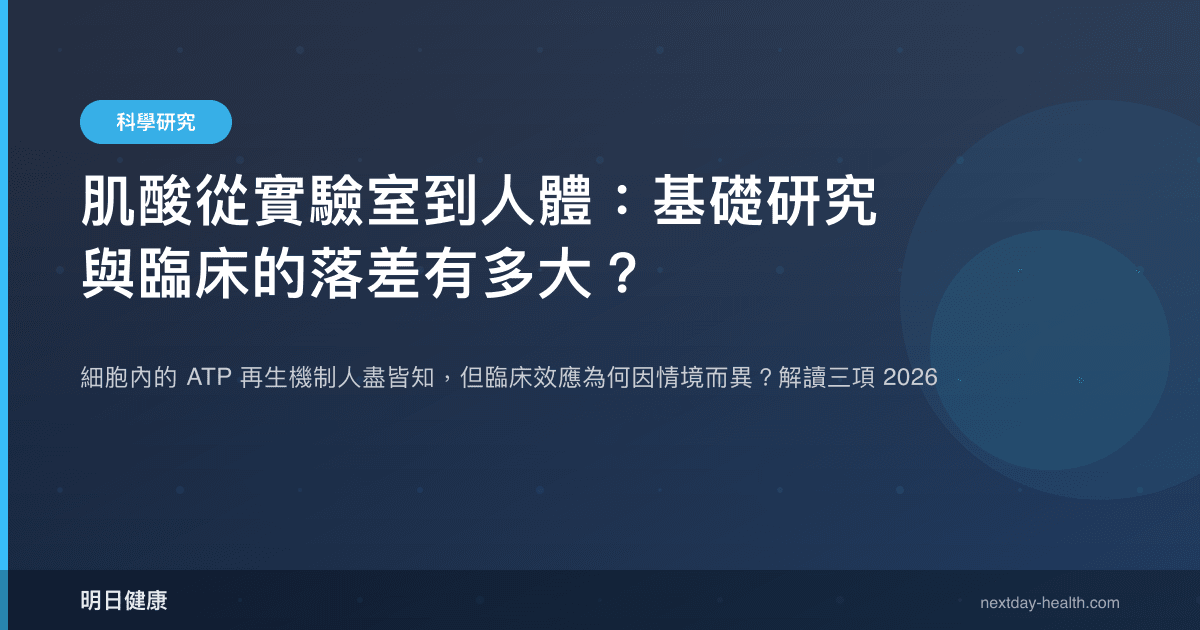 肌酸從實驗室到人體：基礎研究與臨床的落差有多大？