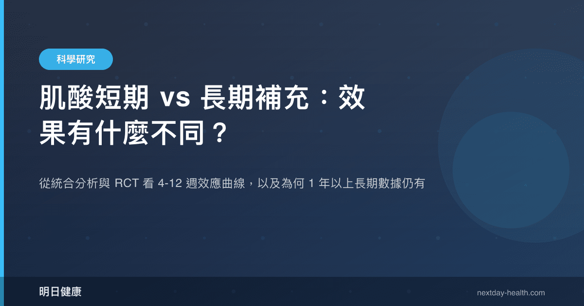 肌酸短期 vs 長期補充：效果有什麼不同？