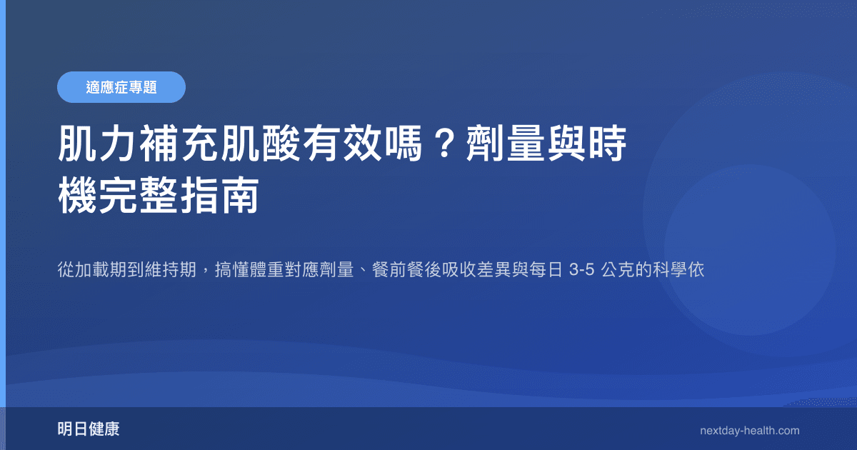 肌力補充肌酸有效嗎？劑量與時機完整指南