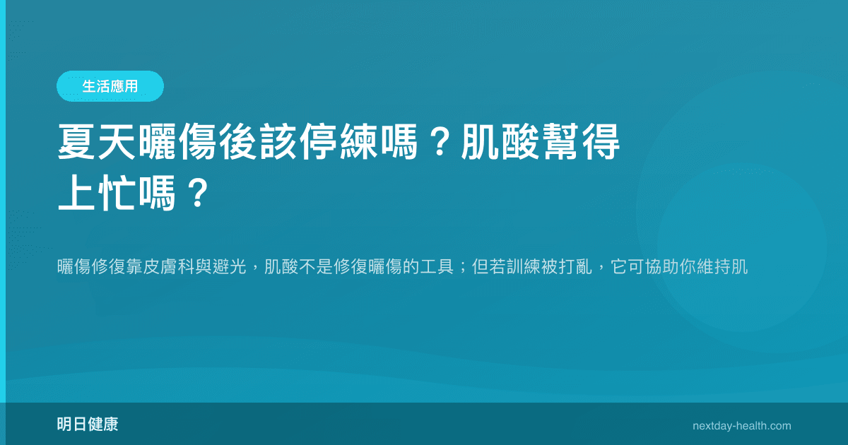 夏天曬傷後該停練嗎？肌酸幫得上忙嗎？