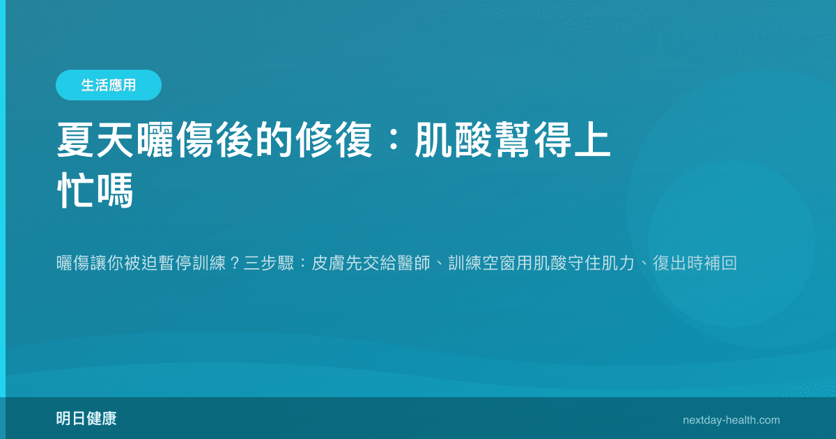 夏天曬傷後的修復：肌酸幫得上忙嗎
