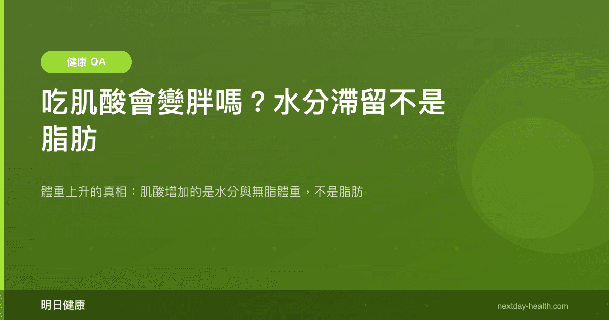 吃肌酸會變胖嗎？水分滯留不是脂肪