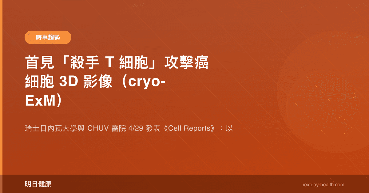 首見「殺手 T 細胞」攻擊癌細胞 3D 影像（cryo-ExM）