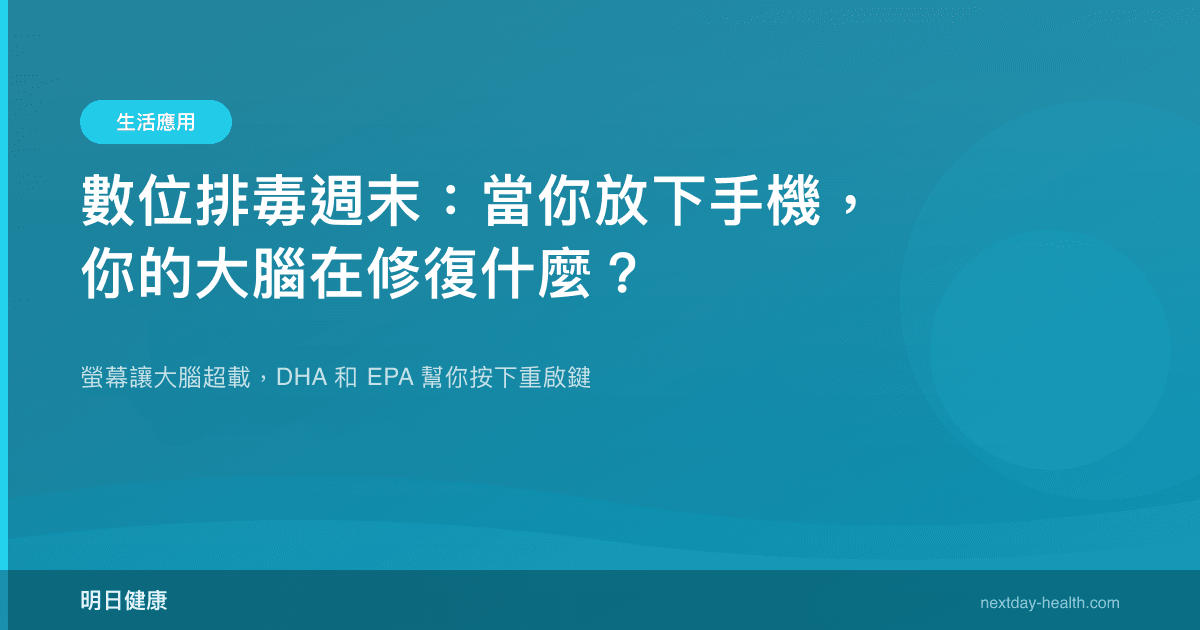 數位排毒週末：當你放下手機，你的大腦在修復什麼？