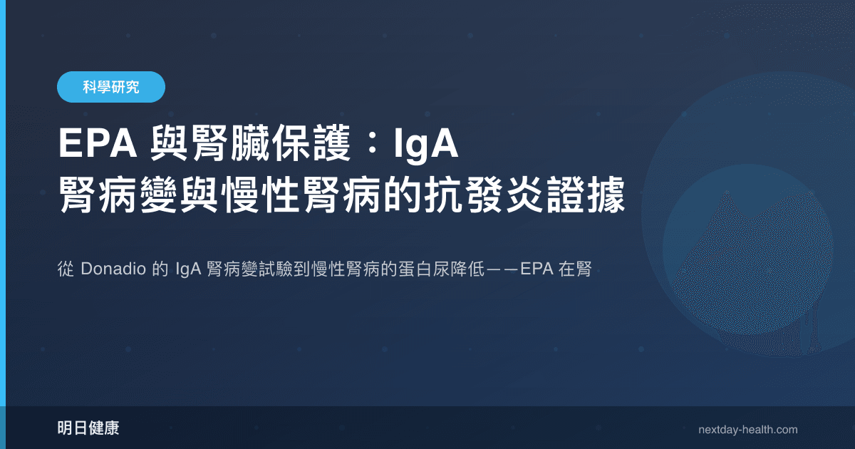 EPA 與腎臟保護：IgA 腎病變與慢性腎病的抗發炎證據