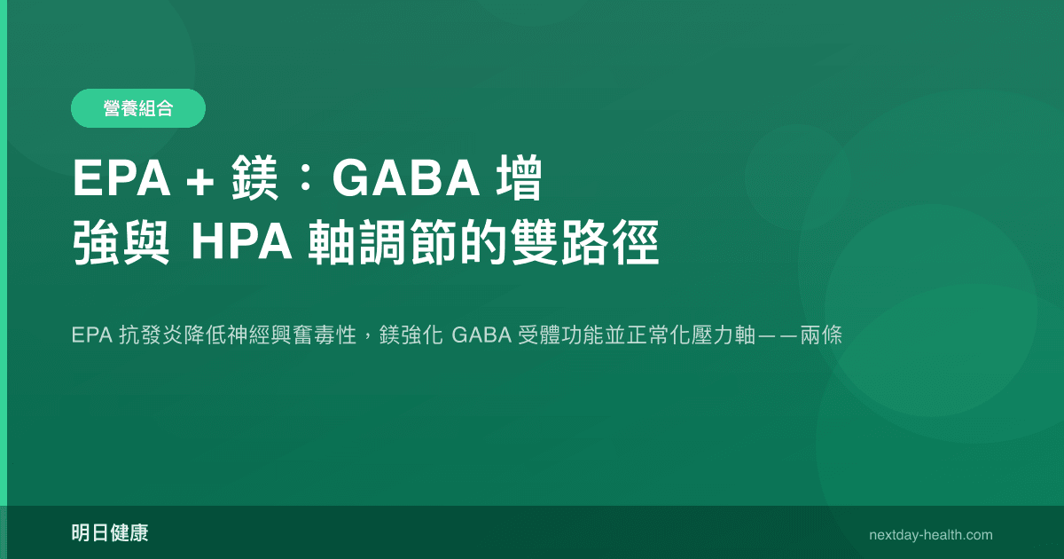 EPA + 鎂：GABA 增強與 HPA 軸調節的雙路徑