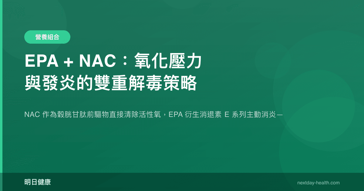 EPA + NAC：氧化壓力與發炎的雙重解毒策略