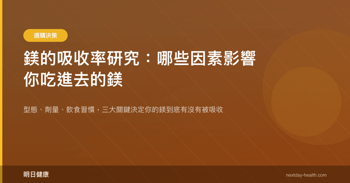 鎂的吸收率研究：哪些因素影響你吃進去的鎂