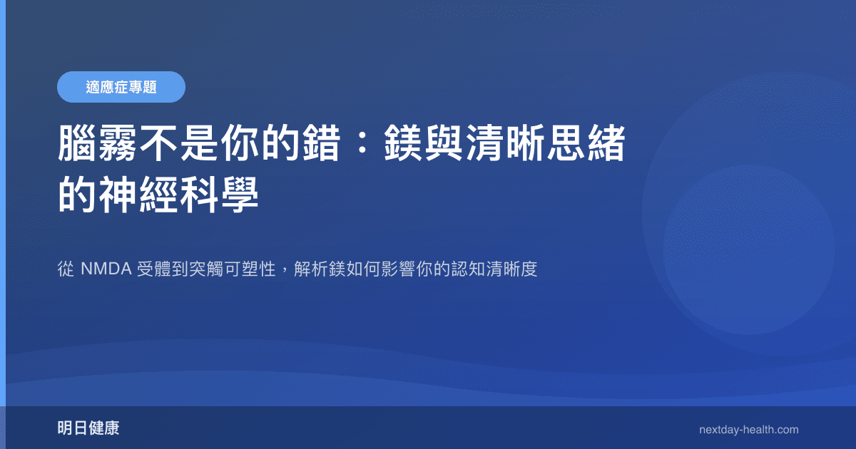 腦霧不是你的錯：鎂與清晰思緒的神經科學